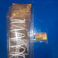 MOLLA MALISSI SUZUKI