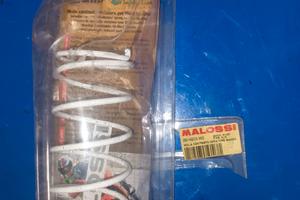 MOLLA MALISSI SUZUKI