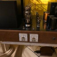 Audio Note Neiro ( clone )