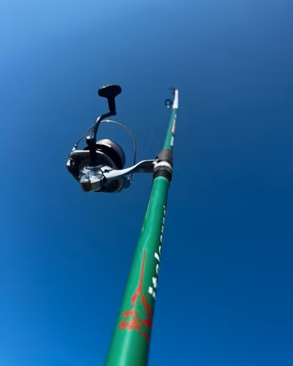 Surfcasting italcanna shimano
