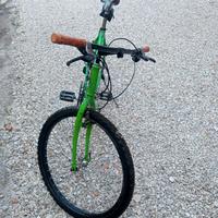 Mountain bike 