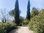 Immagine 13
