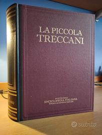 PICCOLA TRECCANI + VOCABOLARIO