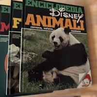 Enciclopedia Walt Disney 1980 - 12 Volumi Completa