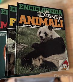 Enciclopedia Walt Disney 1980 - 12 Volumi Completa