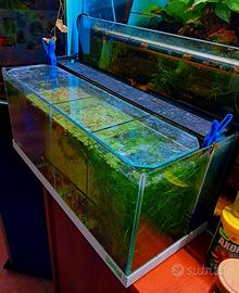 acquario bettiera 4 posti creas