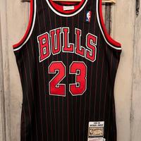 Canotta Michael Jordan M&N edition 95-96