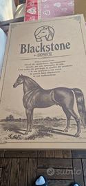 Stivali equitazione