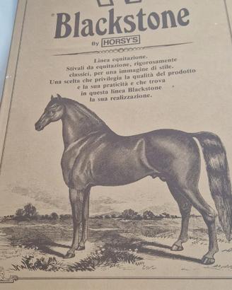 Stivali equitazione