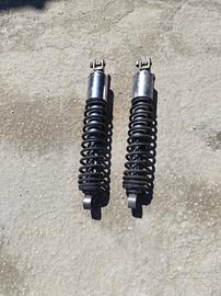 Ammortizzatori Suzuki Burgman 650