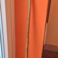 Bastone da passeggio