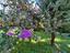 Immagine 24