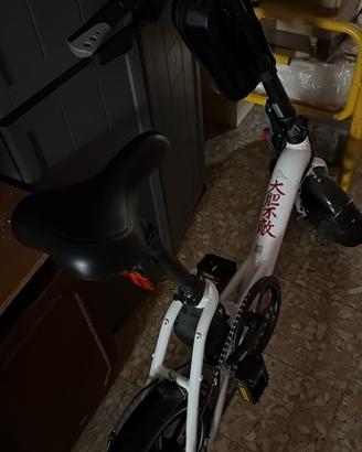 Fiido D3 Pro Bici Elettrica – Come Nuova – Firenze