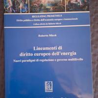 Lineamento di diritto europeo dell'energia