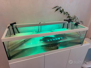 Tartarughe d'acqua+Acquario, Filtro,Armadietto