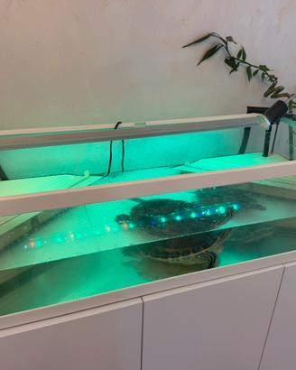 Tartarughe d'acqua+Acquario, Filtro,Armadietto