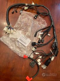 Cablaggio elettrico Mash 125 tipo 3