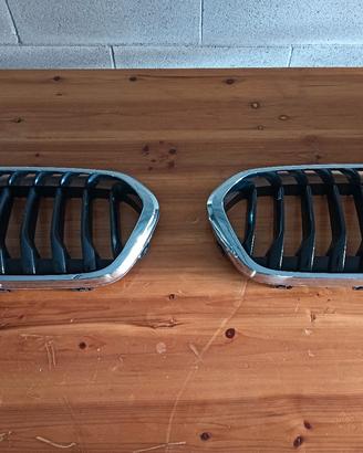 Griglie BMW 