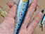 Immagine 3