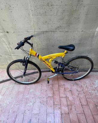 Bicicletta Mountain Bike