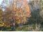 Immagine 18