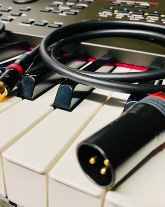 Mogami 2534 Neglex  XLR-Rca coppia. Neutrik dorati