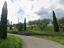 Immagine 7