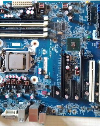 SCHEDA MADRE HP Z200