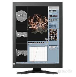 EIZO Radiforce RX320 Monitor