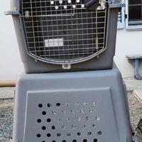 2 Trasportini Petmate Sky Kennel