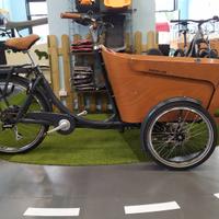 Cargobike Olandese mod.Flow