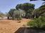 Immagine 11