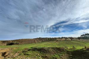 Terreno Edificabile - Motta Sant'Anastasia