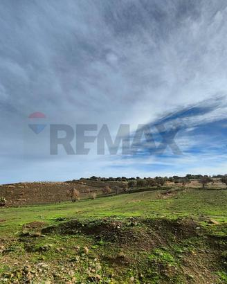 Terreno Edificabile - Motta Sant'Anastasia