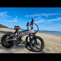 fat bike Mate X 250 w