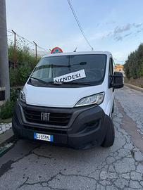Ducato fiat