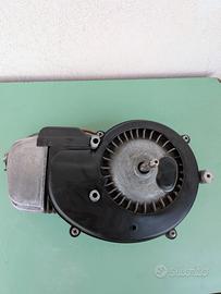 motore piaggio ciao bravo si boxer Grillo cba ecco