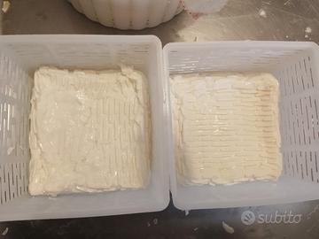 stracchino di latte di capra 