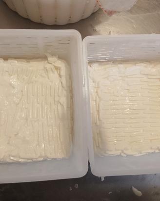 stracchino di latte di capra 