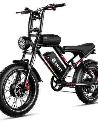 Bici elettrica doppio motore