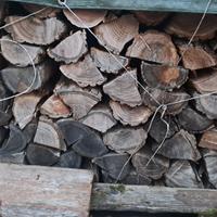 Legna da ardere stagionata 