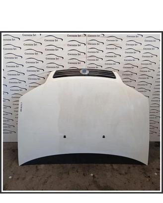 Cofano Anteriore Fiat Punto 188 Bianca del 2007