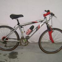 Bice Mountain bike