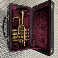 Tromba trombino sib acuto amati