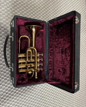 Tromba trombino sib acuto amati
