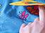 Immagine 6