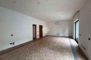 NEGOZIO A NOVARA
