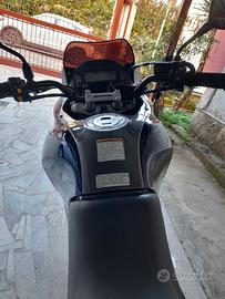 Suzuki Xf Freewind 650