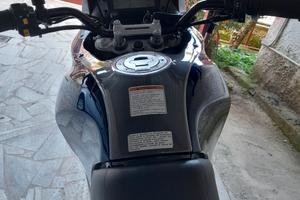 Suzuki Xf Freewind 650