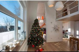 Loft indipendente